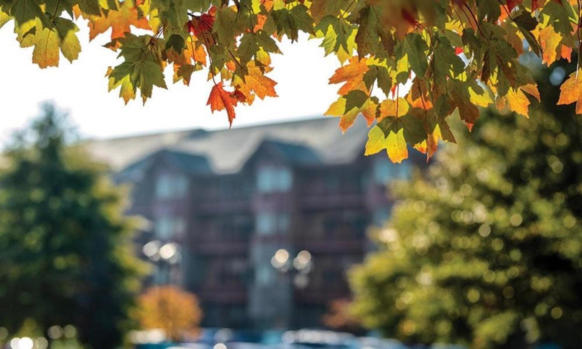 Great Smokies Lodge Sevierville By Hellovacay Exterior foto
